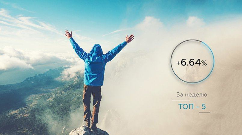 CapEX24.com — Общий результат управления за неделю +6.64%!