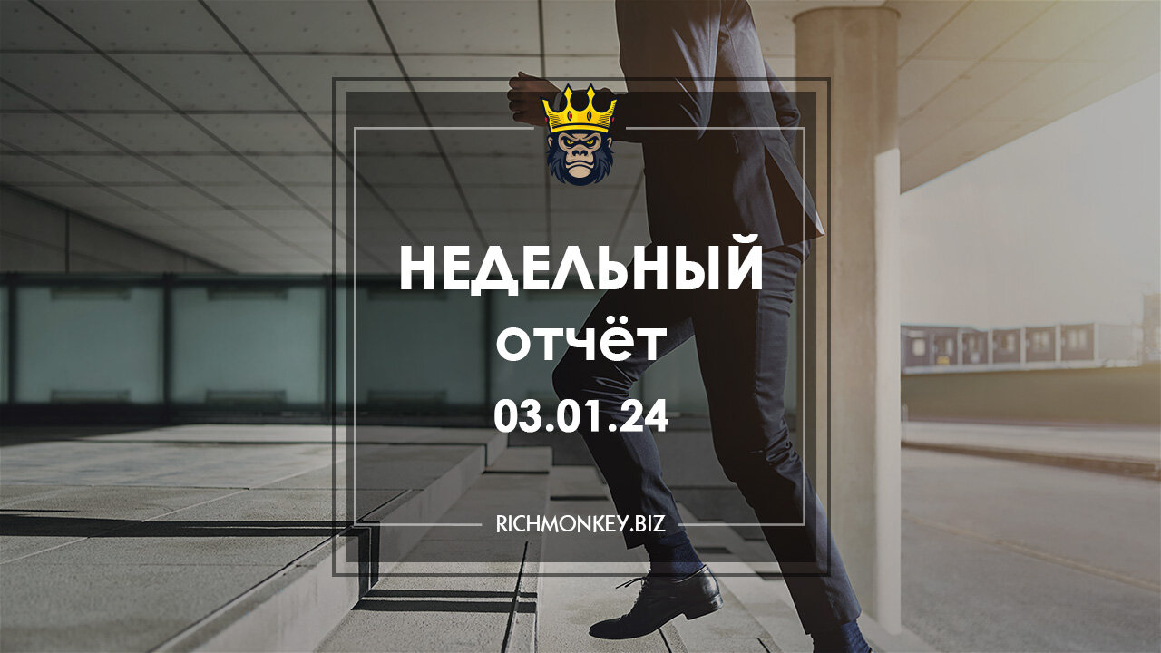Недельный отчет по хайп-проектам за 25.12.23 – 31.12.23