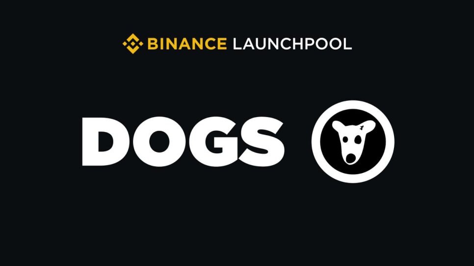 Launchpool DOGS на Binance: стейкинг FDUSD и BNB